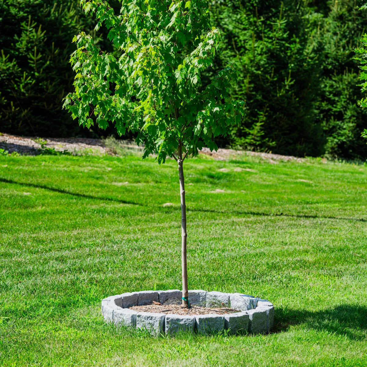 4 Ft Tree Ring Kit