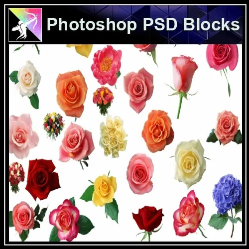 ★Photoshop PSD Decorative Elements-Lose Flower V.3