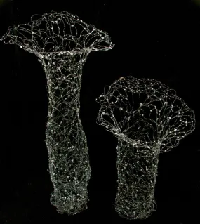 Spider Vessels